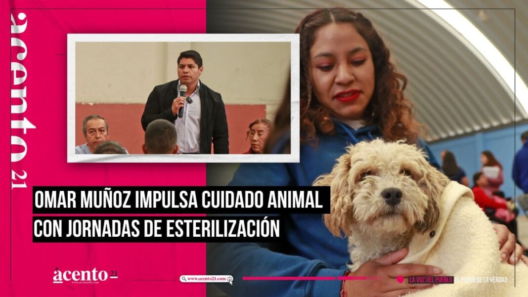 Omar Muñoz, esterilización en Cuautlancingo 900 perros y gatos