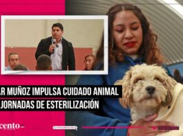 Omar Muñoz, esterilización en Cuautlancingo 900 perros y gatos