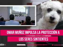 Omar Muñoz impulsa la protección a los seres sintientes