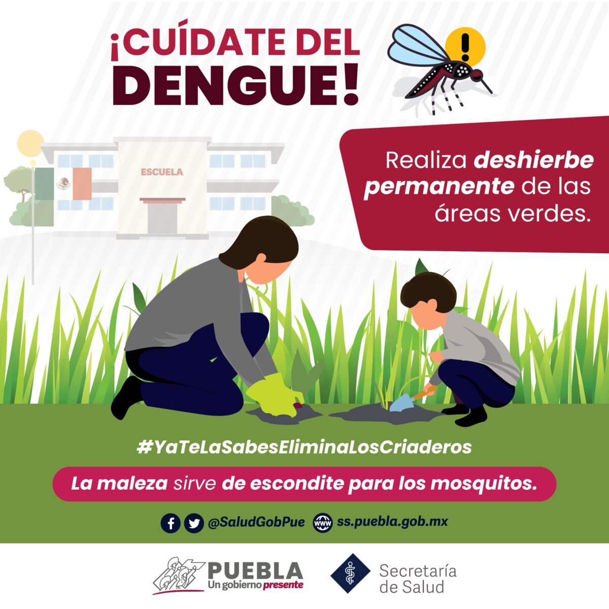 Puebla sin defunciones ni hospitalizados por dengue en 24 horas