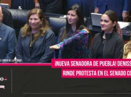 ¡Nueva senadora de Puebla! Denisse Ortiz rinde protesta en el Senado con el PT