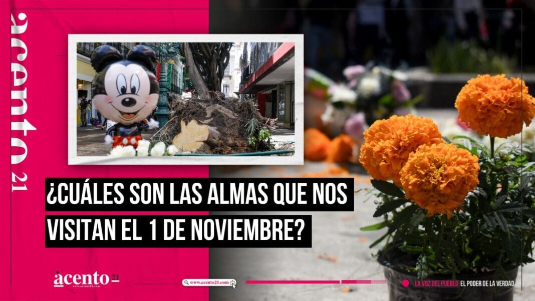 ¿Cuáles son las almas que nos visitan el 1 de noviembre