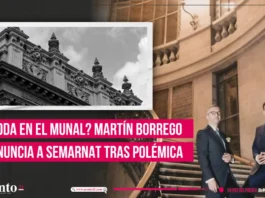 ¿Boda en el MUNAL Martín Borrego renuncia a Semarnat tras polémica