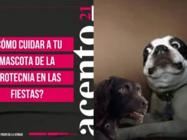 Cómo cuidar a tu mascota