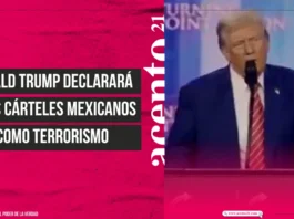 Donald Trump declarará a los cárteles