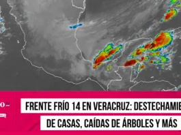 Frente Frío 14 en Veracruz Destechamiento de casas, caídas de árboles y más