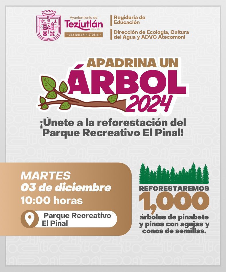 Próximo 3 de diciembre se realizará reforestación en el parque recreativo el Pinal 