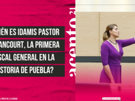 ¿Quién es Idamis Pastor Betancourt?