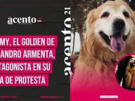 Tommy, el perro de Alejandro Armenta, brilla en su toma de protesta