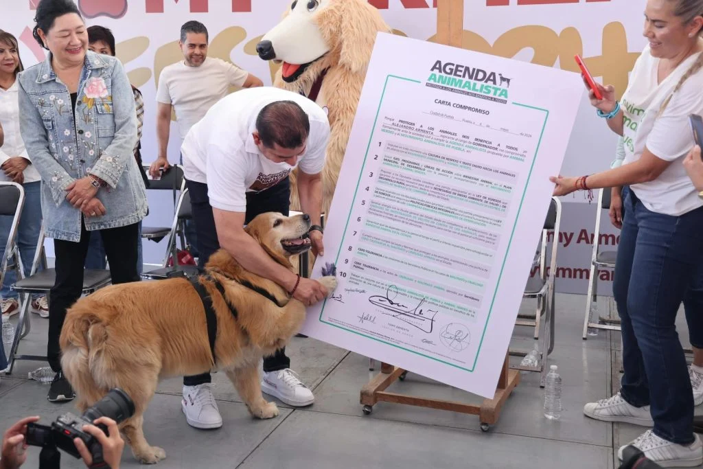 Tommy, el perro de Alejandro Armenta, brilla en su toma de protesta