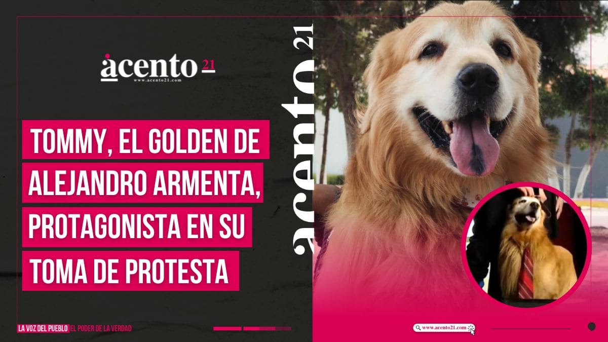 Tommy, el perro de Alejandro Armenta, brilla en su toma de protesta