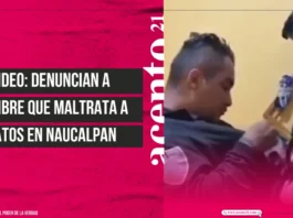 VIDEO Denuncian a hombre que maltrata a gatos en Naucalpan