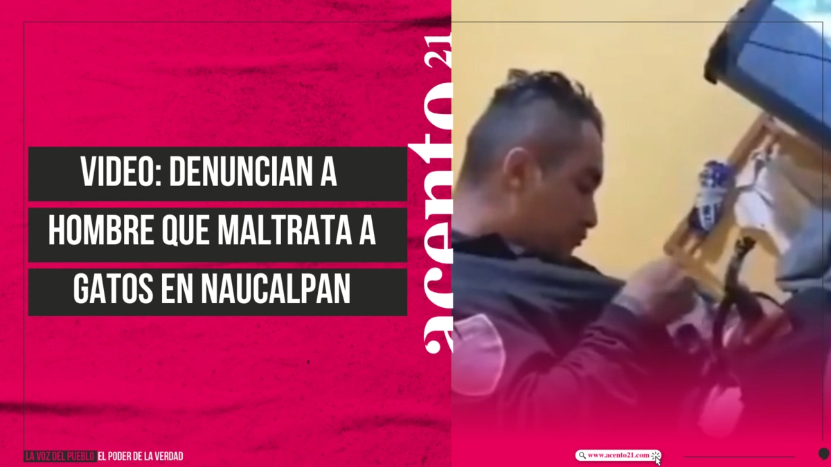 VIDEO Denuncian a hombre que maltrata a gatos en Naucalpan