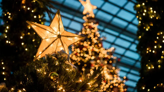 Estrella de Belén, uno de los elementos del árbol de Navidad