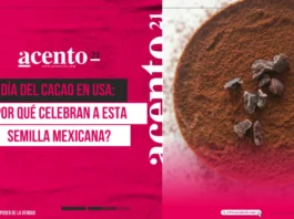 Día del Cacao en Estados Unidos: ¿Por qué celebran a esta semilla mexicana?