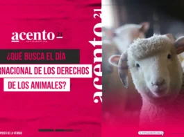 ¿Qué busca el Día Internacional de los Derechos de los Animales?