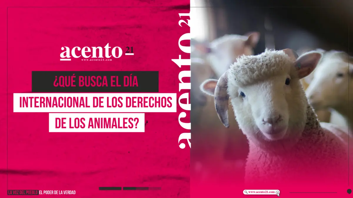 ¿Qué busca el Día Internacional de los Derechos de los Animales?