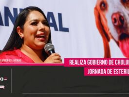 Realiza Gobierno de Cholula Mega Jornada de Esterilización