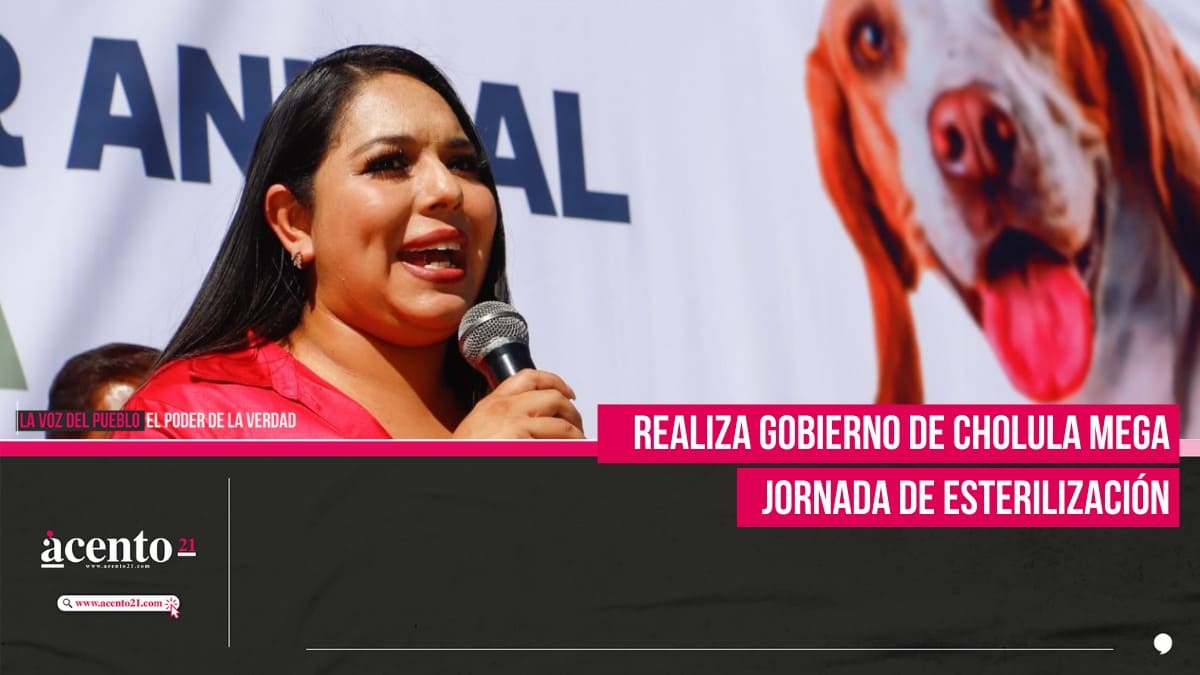 Realiza Gobierno de Cholula Mega Jornada de Esterilización