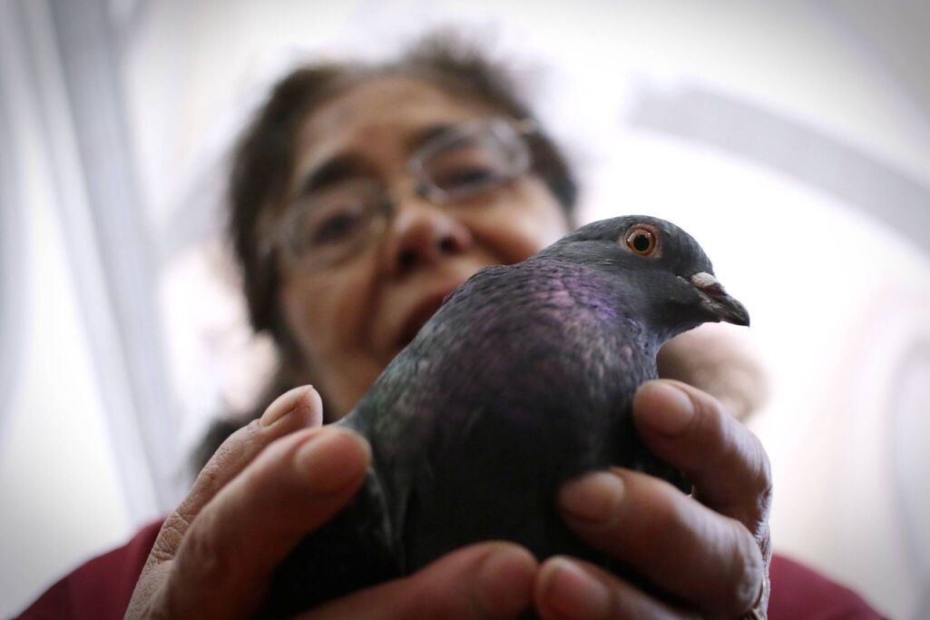 ¿Sabías qué hay una fecha para bendecir a las mascotas en Puebla?