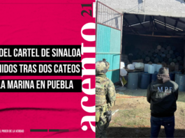 Eran del Cartel de Sinaloa los detenidos tras operativo