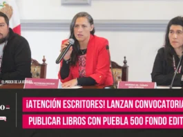 Lanzan convocatoria para publicar