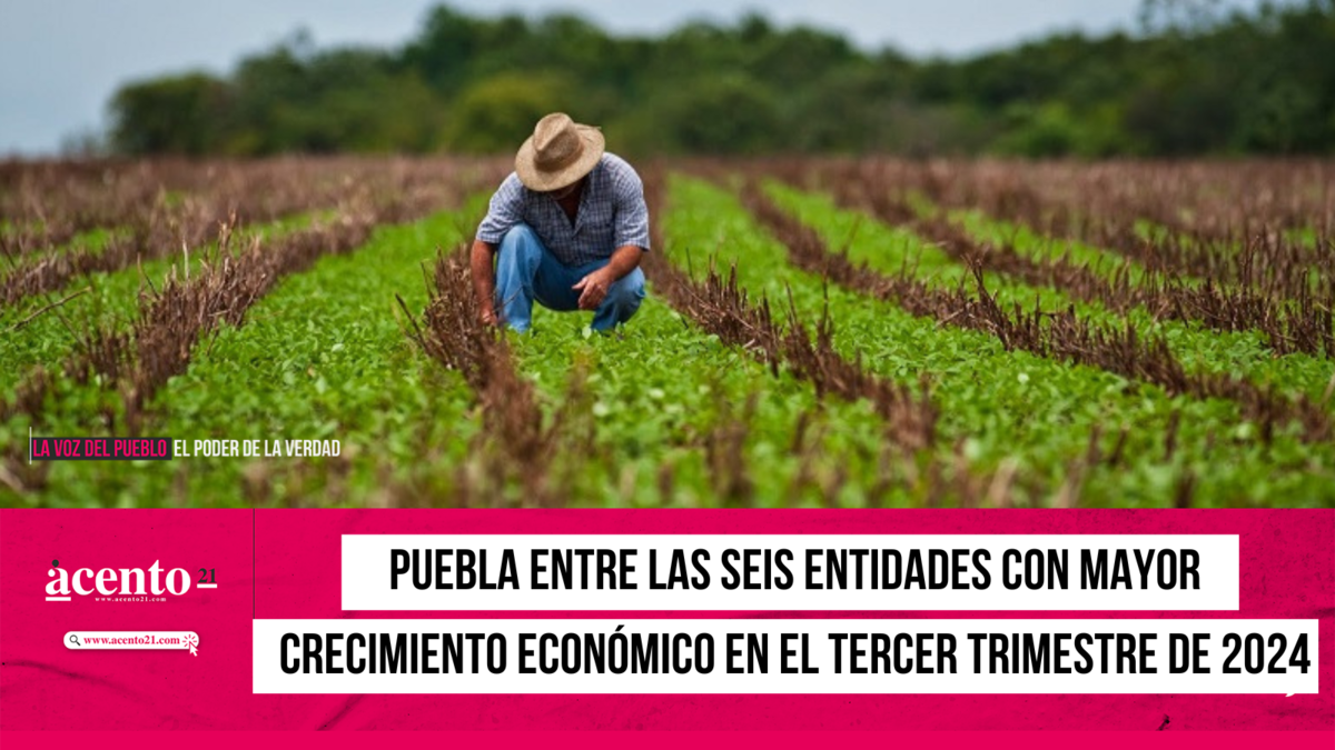 Puebla entre las seis entidades con crecimiento economico