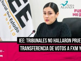 Tribunales no encontraron pruebas de transferencia de votos para FxM y PANAL IEE