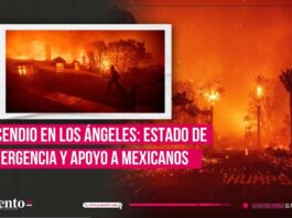 VIDEO Incendio forestal en Los Ángeles; declaran estado de emergencia