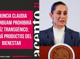 Anuncia Claudia Shienbuam prohibirá