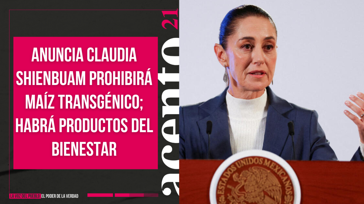 Anuncia Claudia Shienbuam prohibirá