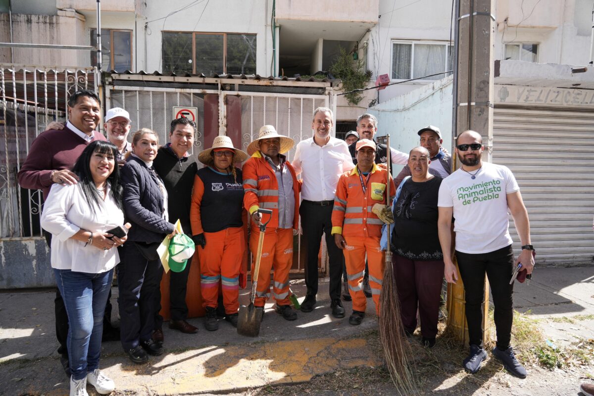 Mantenimiento de áreas verdes de la colonia Las Hadas