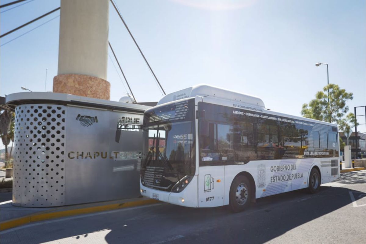 Pasaje de la Línea 4 de RUTA continuará gratis por tiempo indefinido