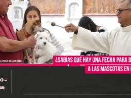 ¿Sabías qué hay una fecha para bendecir a las mascotas en Puebla?