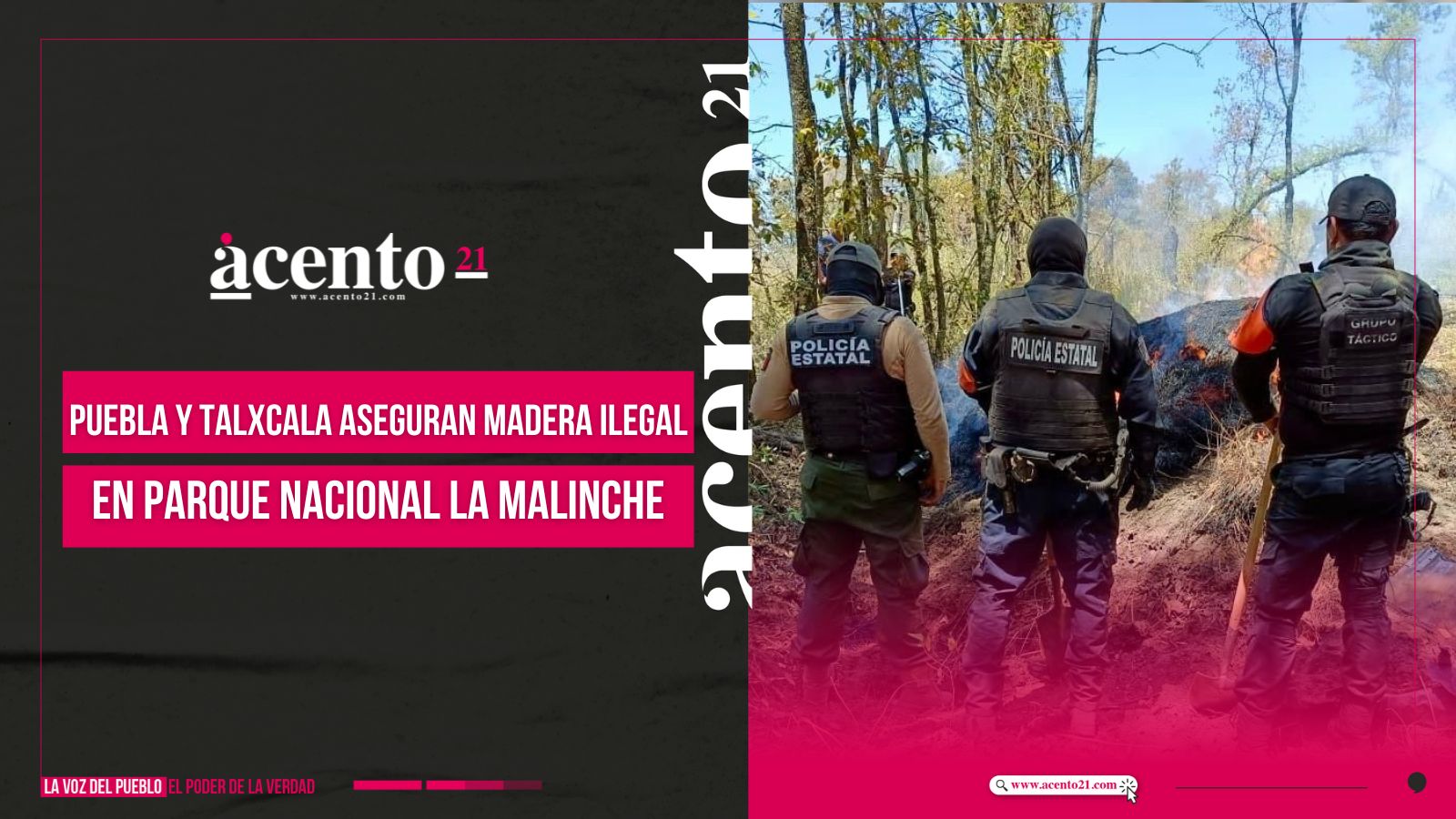 Puebla y Tlaxcala aseguran más de 200 troncos de madera ilegal en La Malinche