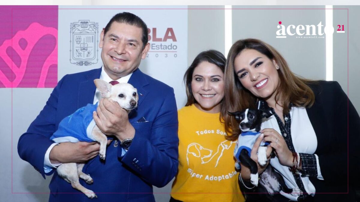 Bienestar Animal y municipios trabajan para proteger a seres sintientes