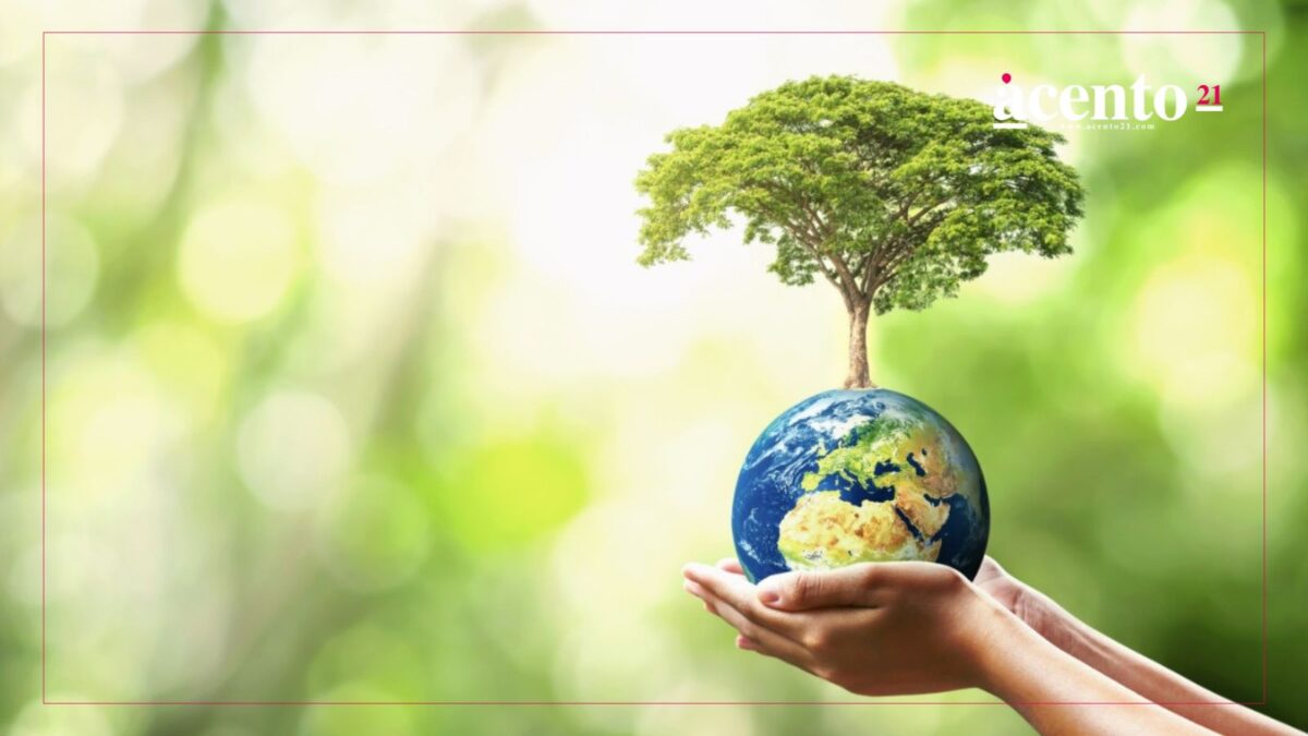 Día de la Tierra 2025 ¿Cuál es su importancia en la actualidad