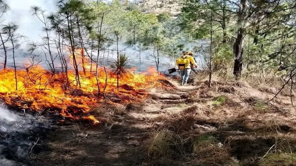 Incendio forestal en Altzayanca moviliza a voluntarios y ejidatarios