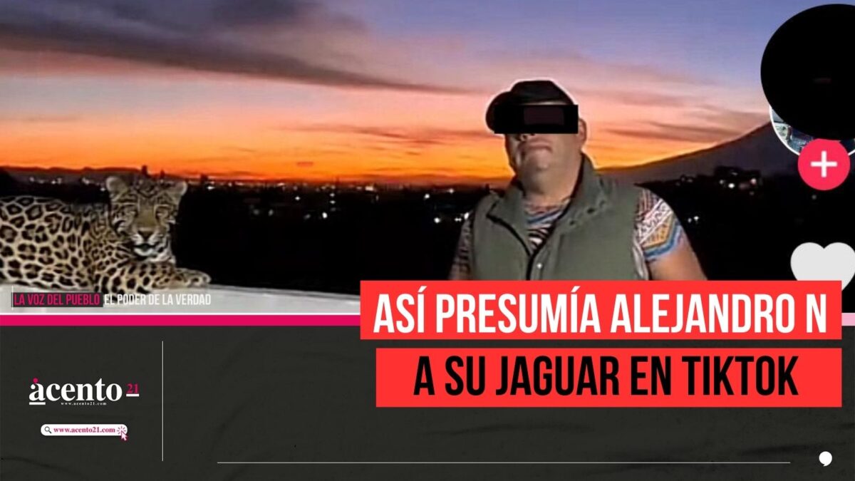 presumía Alejandro N a su jaguar en TIKTOK