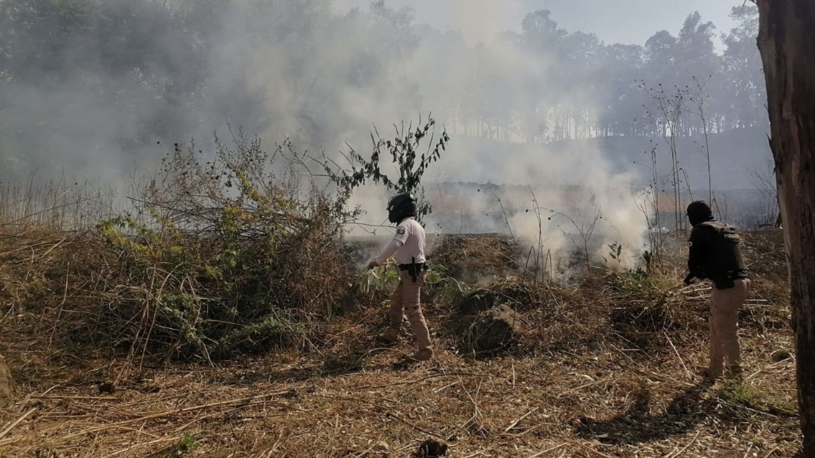 Policía Montada refuerza vigilancia en el Cerro Zapotecas y se suma al combate de incendios