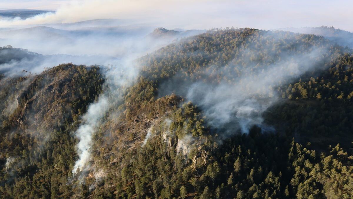 Estos son los daños que ha dejado el incendio forestal de Libres