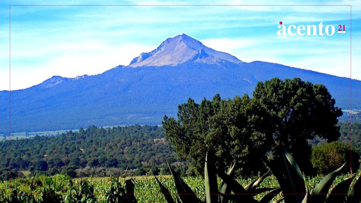 licitación del ecoparque de la Malinche