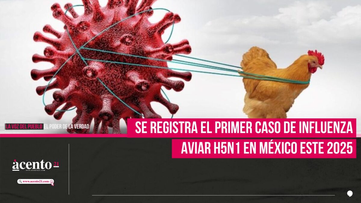 Se registra el primer caso de influenza aviar H5N1 en México este 2025