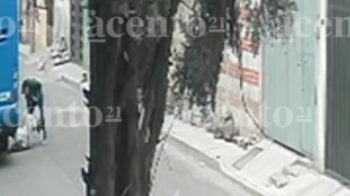 Así fue el violento asalto a un hombre de la tercera edad en la colonia Constitución Mexicana