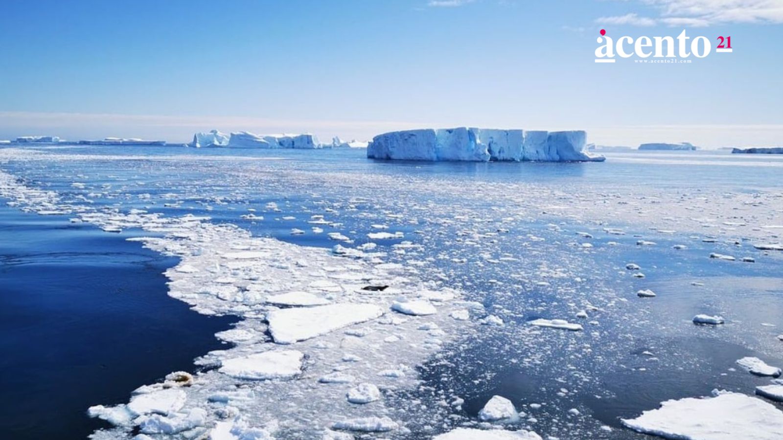 Científicos Detectan Aumento Temporal de Hielo en la Antártida entre 2021 y 2023
