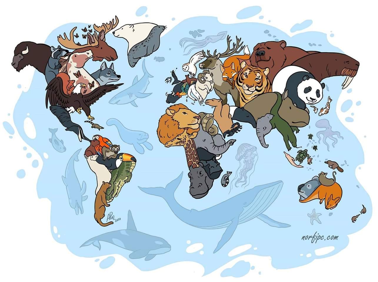 Día de las especies en peligro de extinción: una llamada urgente por salvar la vida silvestre Día de las especies en peligro de extinción: una llamada urgente por salvar la vida silvestre