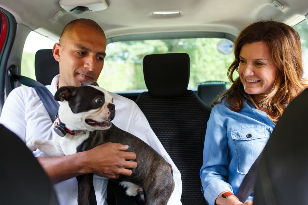 Ya se anunció el servicio de Uber Pet en Puebla para que puedas viajar con tus lomitos.
La empresa dio a conocer que a partir de este 7 de mayo entra en operaciones esta nueva modalidad en Puebla
