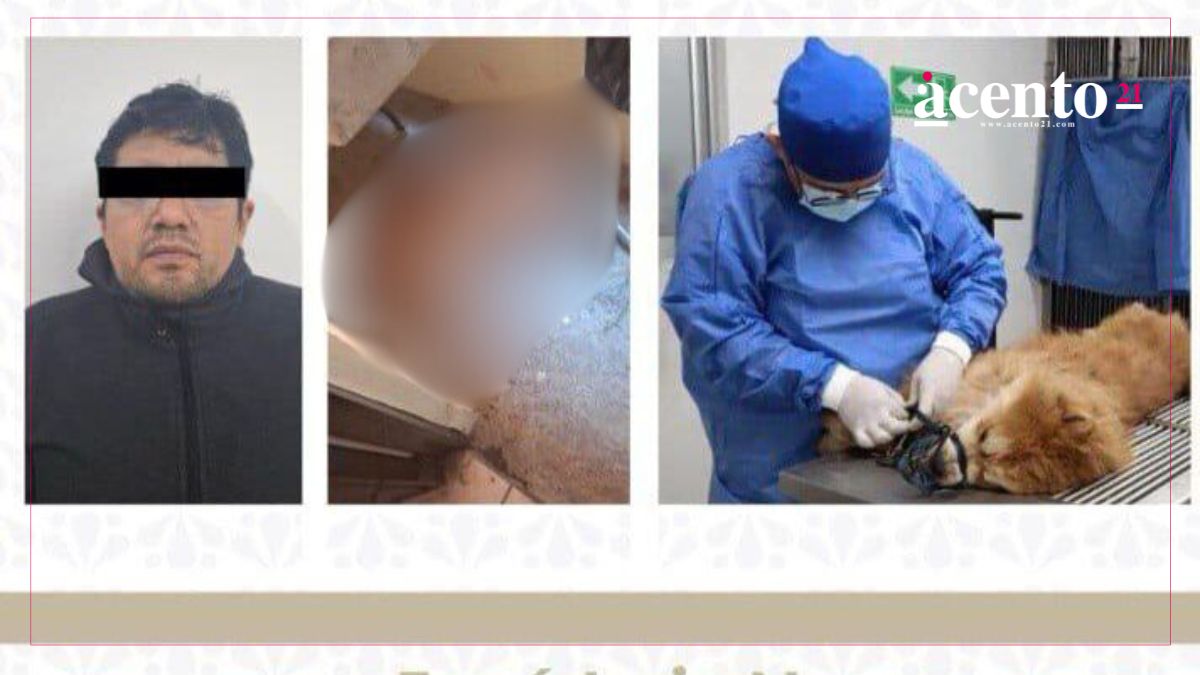 Crueldad animal en la colonia Bugambilias: Sujeto asfixia y mata a un perrito Crueldad animal en la colonia Bugambilias: Sujeto asfixia y mata a un perrito