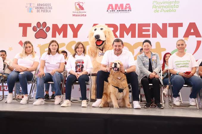 El Centro de Seres Sintientes de Puebla se ubicará en la colonia Agua Santa de la capital poblana y contará con todos los servicios para la atención de los animales.