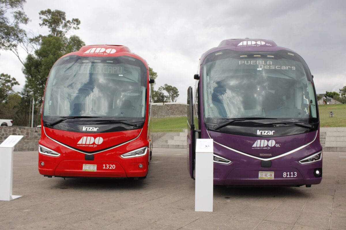 En total se adquirirán 220 unidades para hacer viajes entre Puebla y la Ciudad de México al Aeropuerto Benito Juárez y reforzar la conectividad entre ambas entidades.